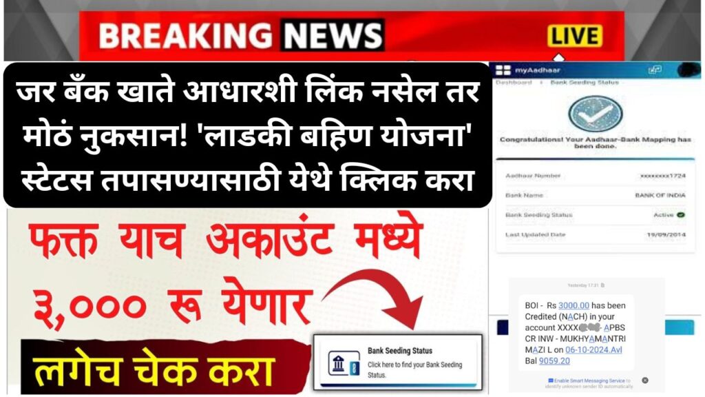 लाडकी बहिण योजना' स्टेटस