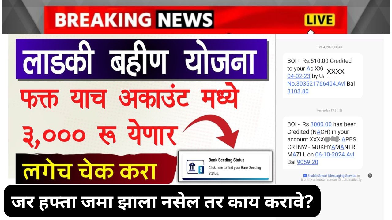 Ladki bahin Bank Seeding Status Check